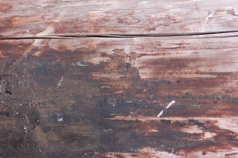 Free stock image of Wood Texture created by Olivié Charbonneau