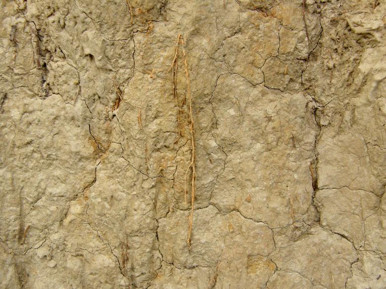 Free stock image of Muddy Wall Texture created by Free Texture Friday
