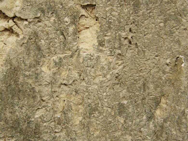 Free stock image of Muddy Wall Texture created by Free Texture Friday
