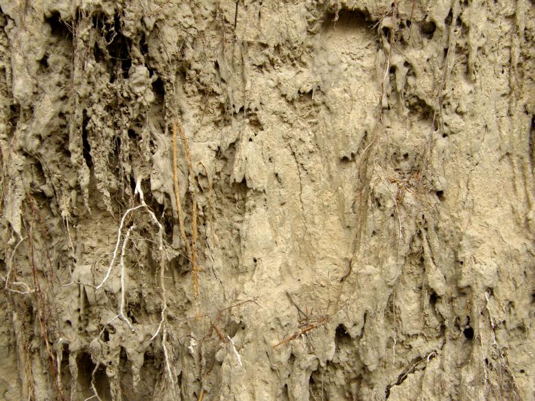 Free stock image of Muddy Wall Texture created by Free Texture Friday