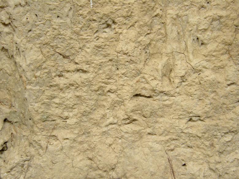 Free stock image of Muddy Wall Background Texture created by Free Texture Friday