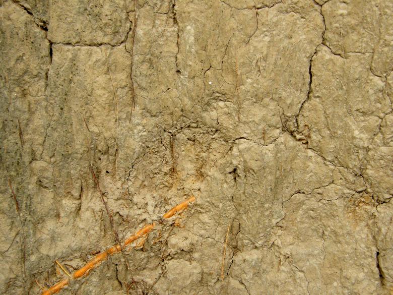 Free stock image of Muddy Wall Texture created by Free Texture Friday