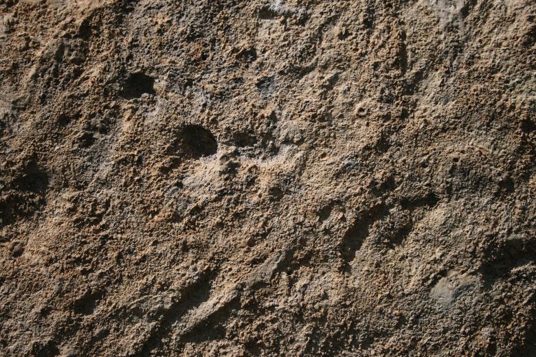 Free stock image of Etched Stone Texture created by Free Texture Friday