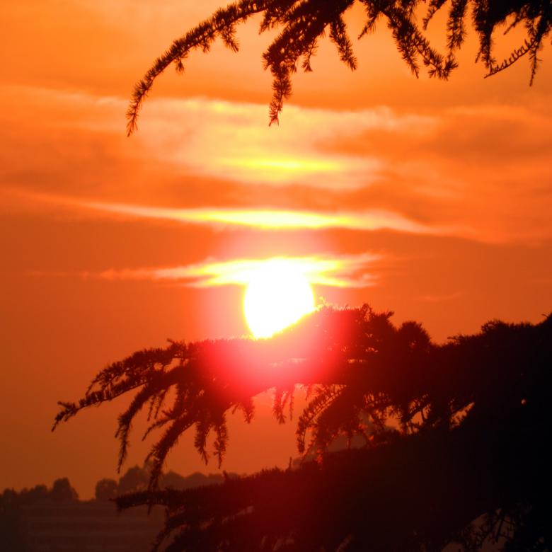 Free stock image of The Sunset in Shimla (India) created by Tona sam