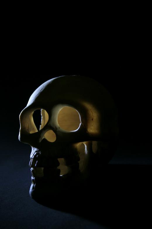 Free stock image of skull created by 2happy
