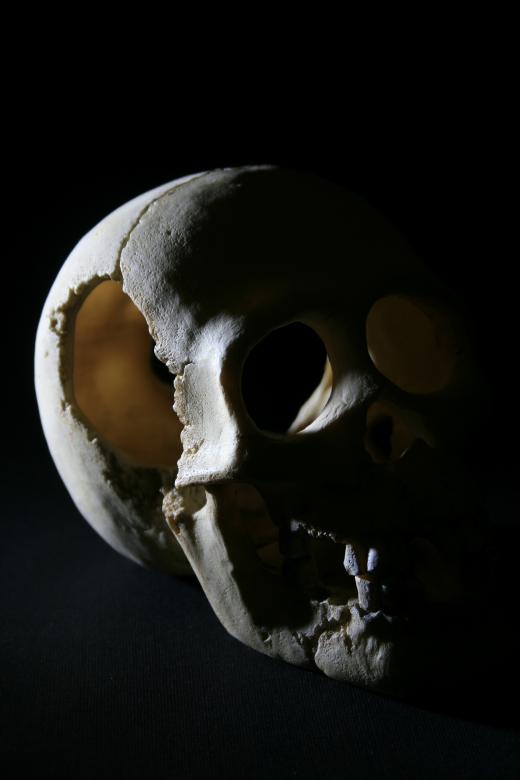 Free stock image of skull created by 2happy