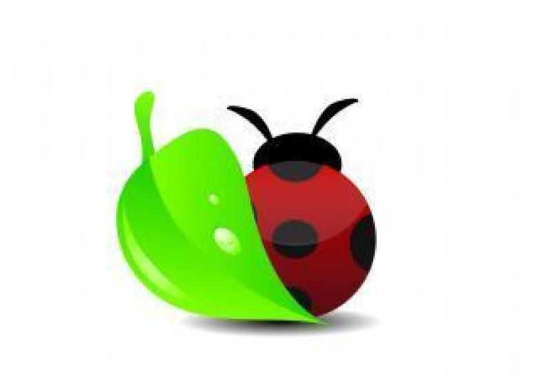 Free stock image of Ladybug created by Ferencz József - Hunor