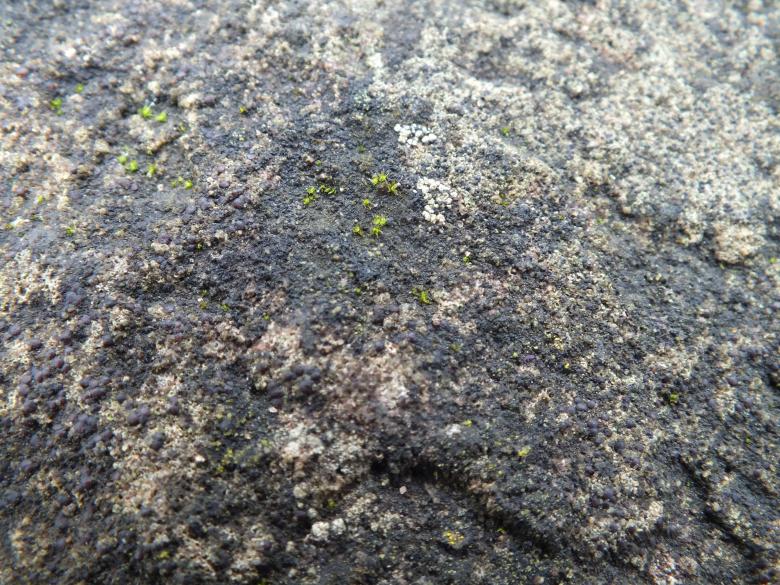 Free stock image of Rock Texture created by Stephan Gerlach