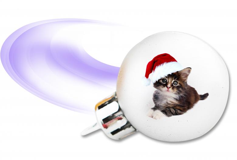 Free stock image of Christmas Kitten created by Diana