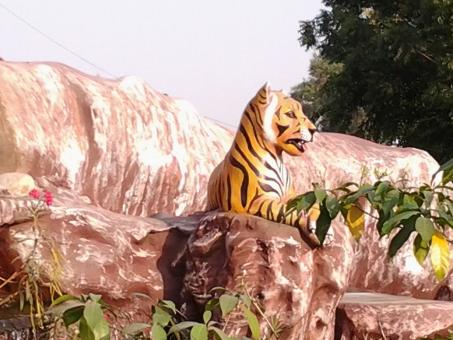 Tiger on hill - Free Stock Photo