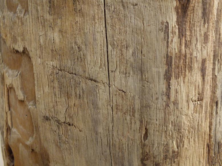 Free stock image of Wood texture created by Stephan Gerlach