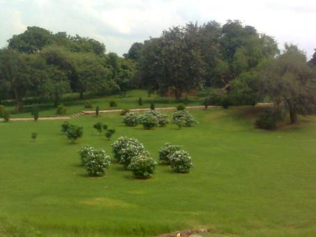 Free Stock Photo of Qutub minar Garden