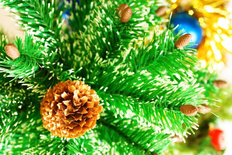 Free stock image of Pine cone created by 2happy