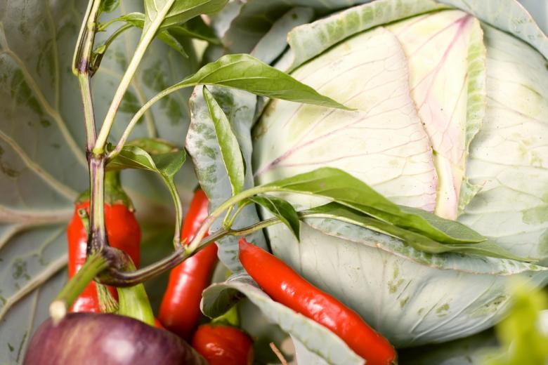 Free stock image of fresh vegetable created by 2happy
