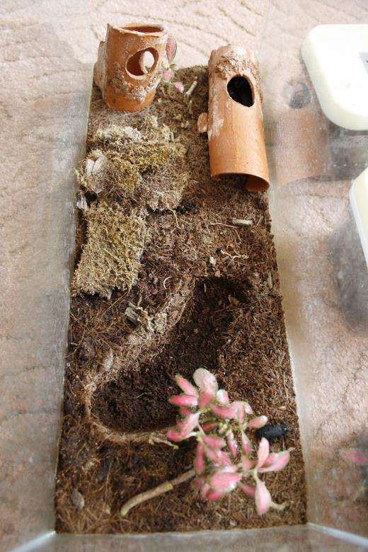 Free stock image of terrarium created by 2happy