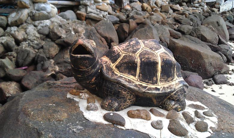 Free stock image of Turtle created by zimy