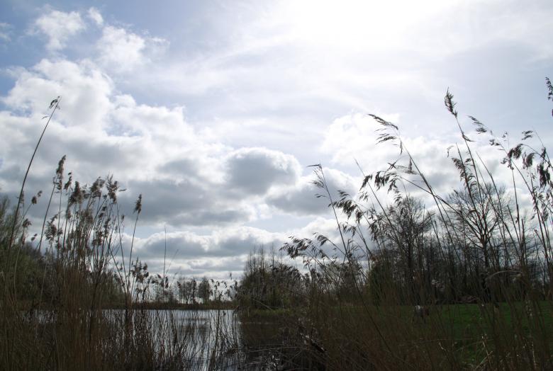 Free stock image of Going Dutch Reeuwijk created by Ed Sanders