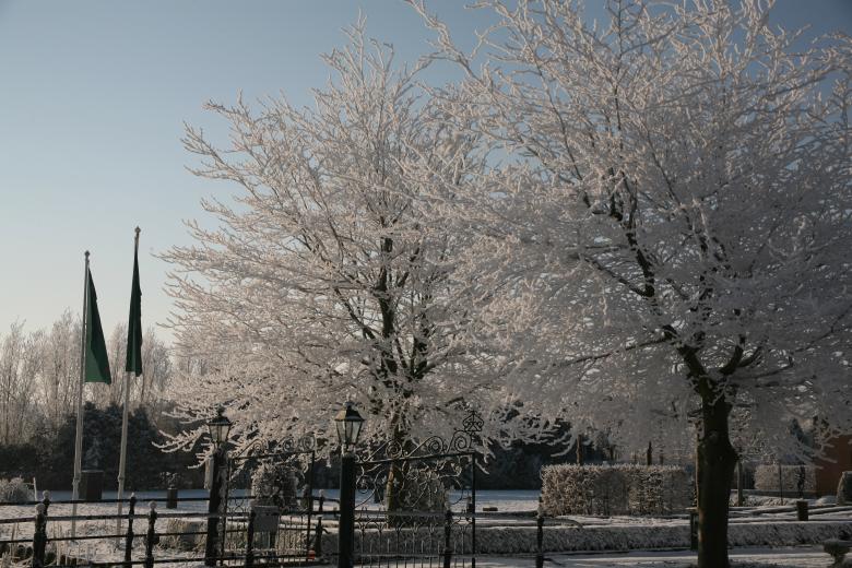 Free stock image of Winter Trees created by Ed Sanders