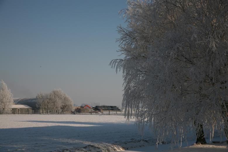 Free stock image of Winter Trees created by Ed Sanders