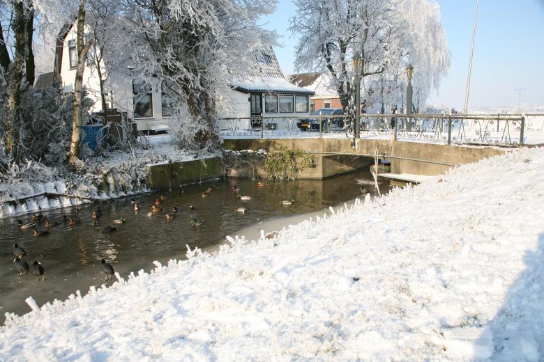 Free stock image of Waterkippies in wak created by Ed Sanders