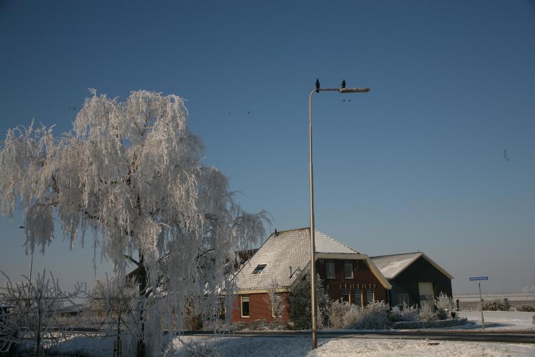 Free stock image of Farmhous aalscholvers created by Ed Sanders