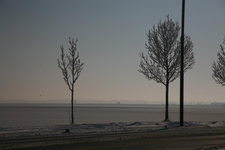 Free stock image of Tree in snow created by Ed Sanders