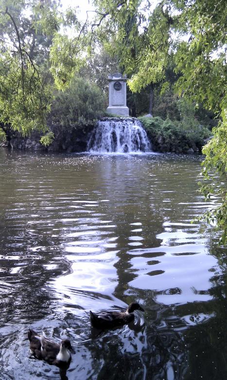 Free stock image of Lake in Park in Madrid created by David Pellon