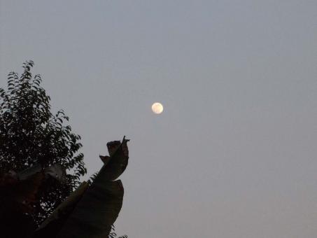 Moon - Free Stock Photo