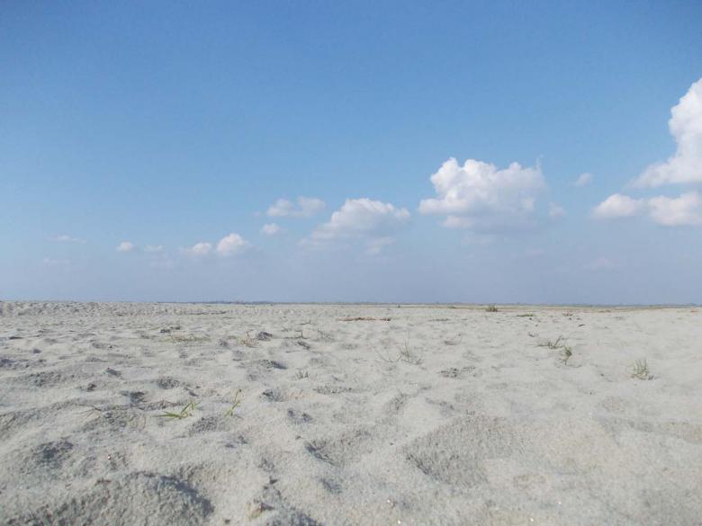 Free stock image of Desert Scenery created by Bijit sharma