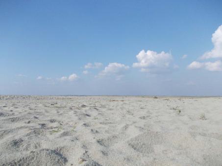 Desert Scenery - Free Stock Photo