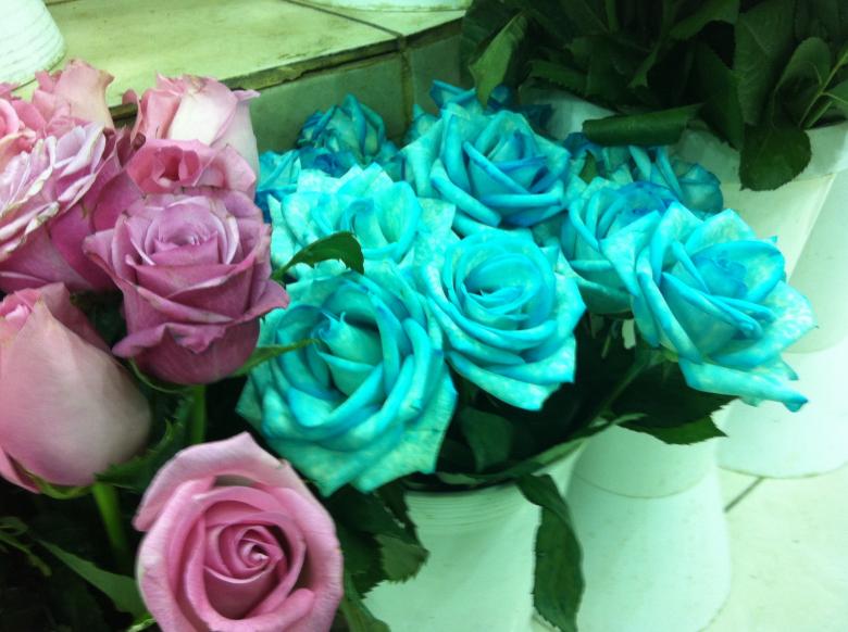 Free stock image of Roses created by basem