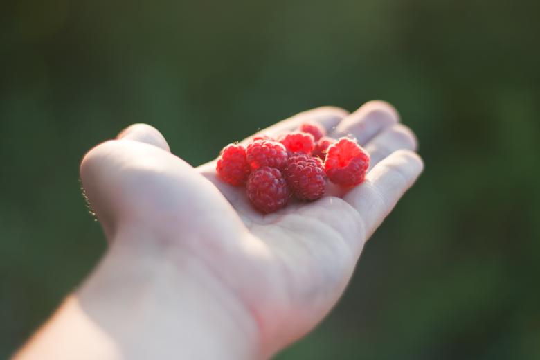 Free stock image of Raspberry created by 2happy