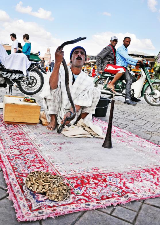 Free stock image of Snake Charmer in morocco created by Luka
