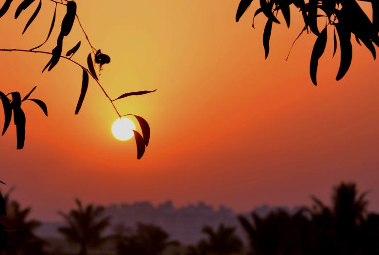 Free stock image of Evening  created by Tejal Bhatt