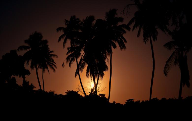 Free stock image of Sunset created by Tejal Bhatt