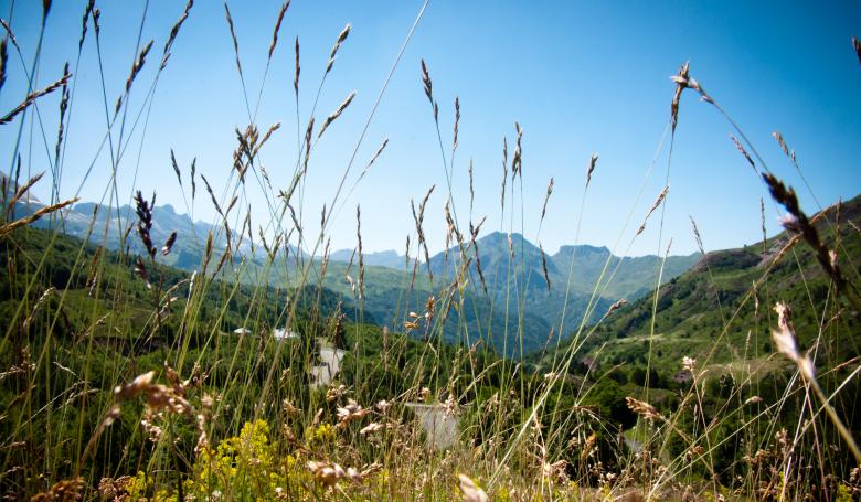 Free stock image of Mountain landscape created by Luka