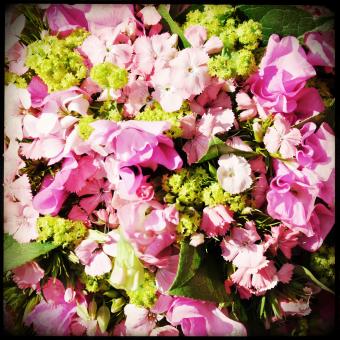 Free Stock Photo of Bouquet of flowers