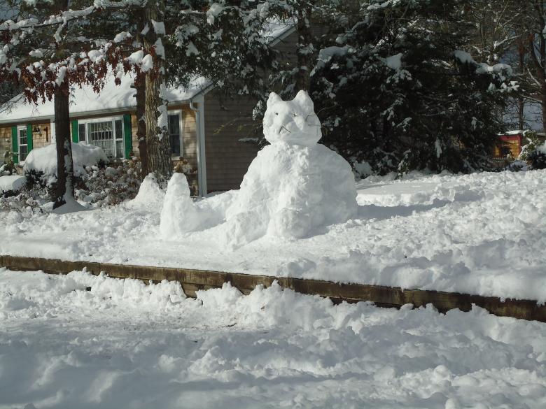 Free stock image of Snow Kitty created by Katharine Sparrow