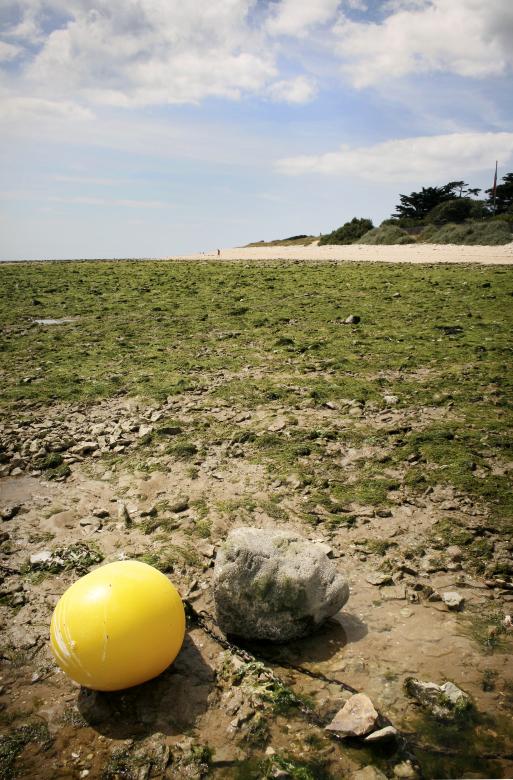 Free stock image of Buoy on beach  created by Luka