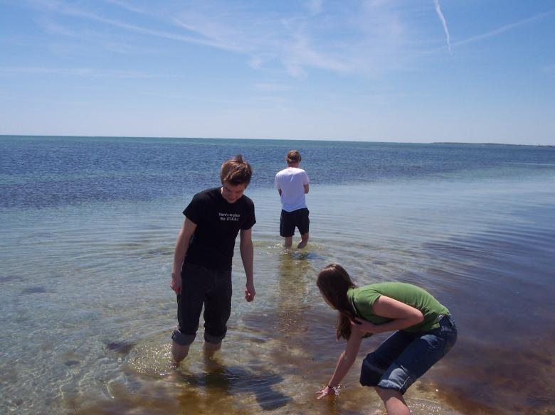 Free stock image of People Wading in Water created by Katharine Sparrow