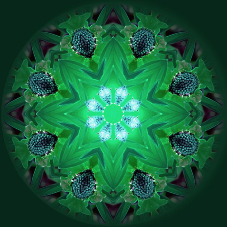 Free stock image of Mandala background created by Luka