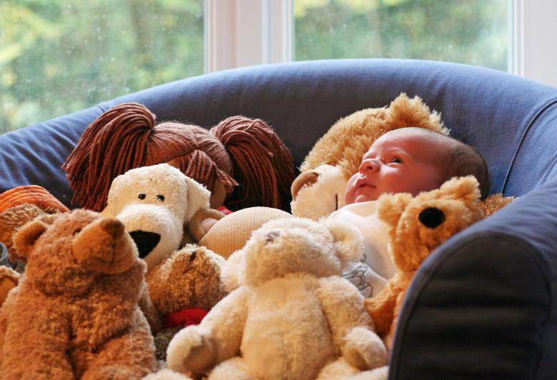 Free stock image of Baby and teddy bears created by Luka