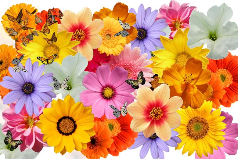 Free stock image of Flower Bouquet created by todd amen
