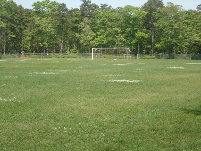 Free stock image of Soccer Field created by Katharine Sparrow