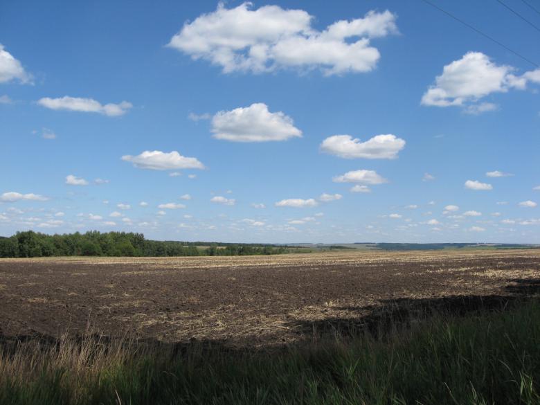 Free stock image of Field and sky created by Andrej