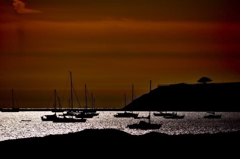 Free stock image of Yachts in the Sea created by Chelsea Julianne Brown