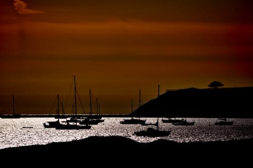 Yachts in the Sea - Free Stock Photo