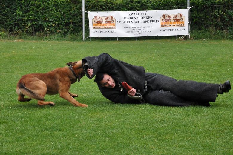 Free stock image of Police dog created by Luka