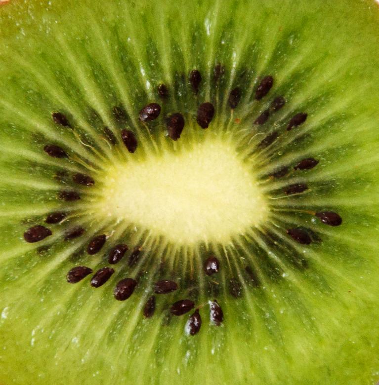 Free stock image of Kiwi close up created by Luka
