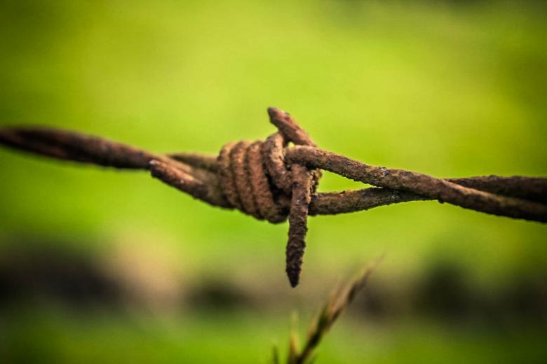 Free stock image of Barb Wire created by Matias Espinosa Botero